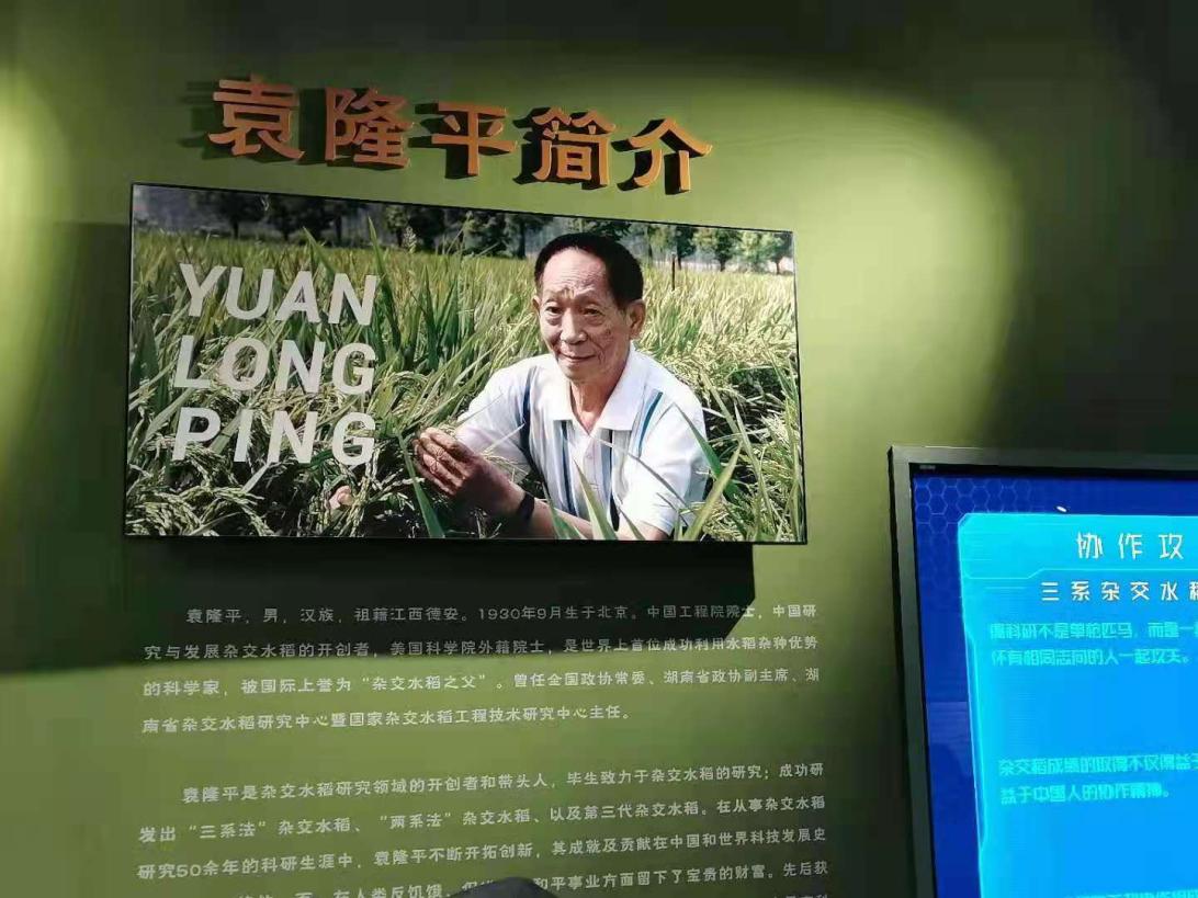 成人小说
师生悼念袁隆平院士：巨星陨落，精神长存！